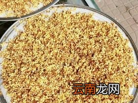 桂花干怎么保存得最久