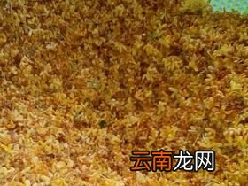 桂花干怎么保存得最久
