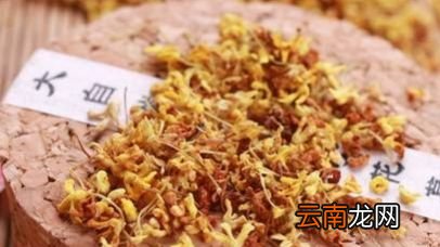 摘下的桂花如何保存不变色