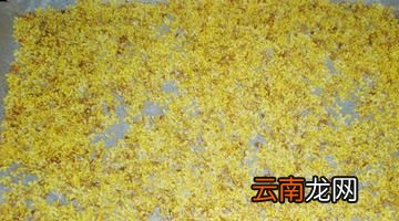 桂花怎么风干不变色