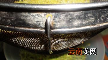 桂花怎么风干不变色