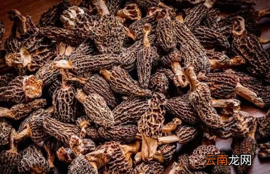 羊肚菌营养价值及功效 羊肚菌用来熬汤太好了