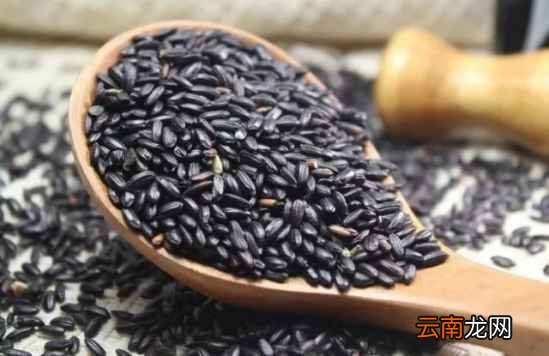 黑米营养价值及功效 常吃黑米有什么好处