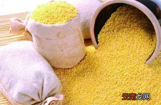 食用小米营养价值 小米这样吃功效非常棒