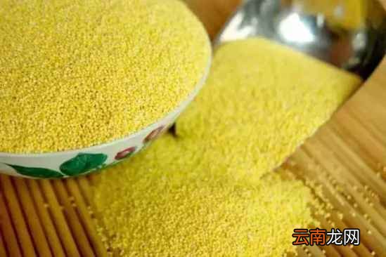 食用小米营养价值 小米这样吃功效非常棒