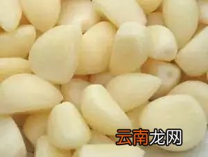 大蒜治咳嗽的做法 大蒜这样吃止咳功效好