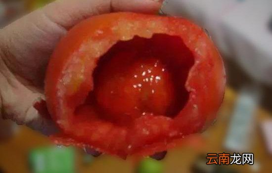 西红柿空心是什么原因 西红柿空心是因为打了激素吗