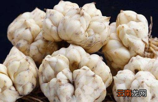 百合可以安神助眠 百合的功效及食用方法