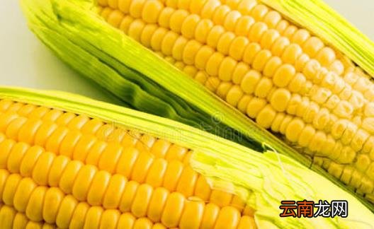 记忆力受各种因素的影响 能提高记忆力的方法