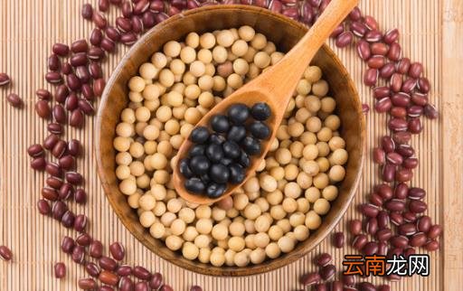 了解血管系统远离血管疾病 让血管恢复青春的保鲜剂
