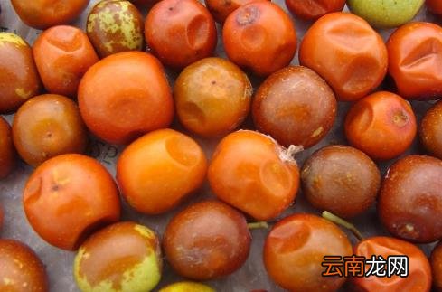 了解血管系统远离血管疾病 让血管恢复青春的保鲜剂