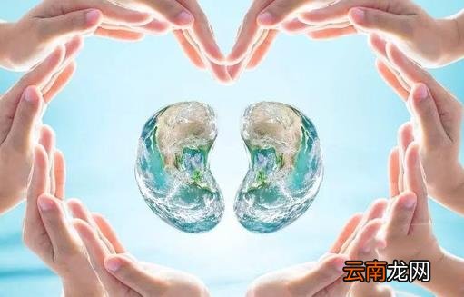 生活中肾好的人都有的特征 日常养肾护肾秘诀盘点