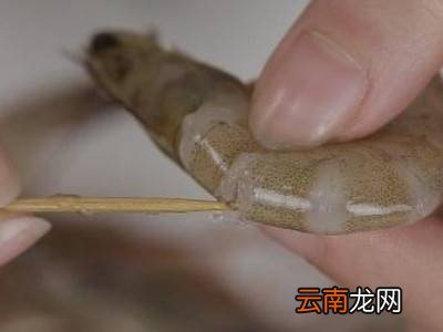 鳌虾怎么去虾线