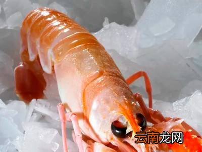 鳌虾怎么去虾线