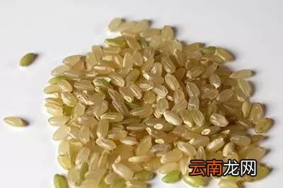 祛湿排毒的食物 吃什么祛湿排毒效果好