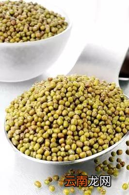 祛湿排毒的食物 吃什么祛湿排毒效果好