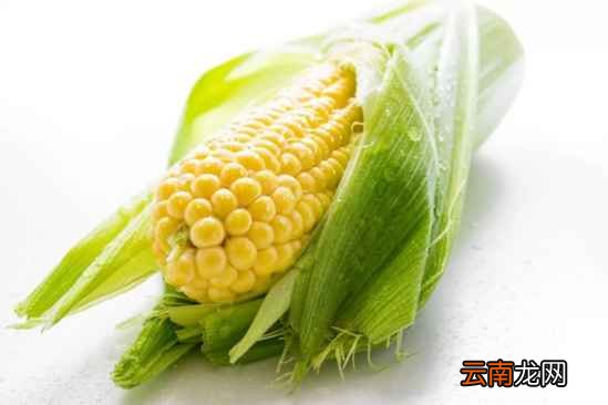 保护眼睛吃什么好 对眼睛好的七种食物推荐