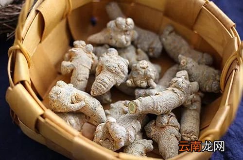 三七的吃法及禁忌 三七怎么吃功效最好