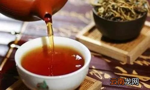 蒲公英的功效与作用 用它泡水喝护肝肾强免疫