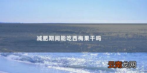 减肥期间能吃西梅果干吗