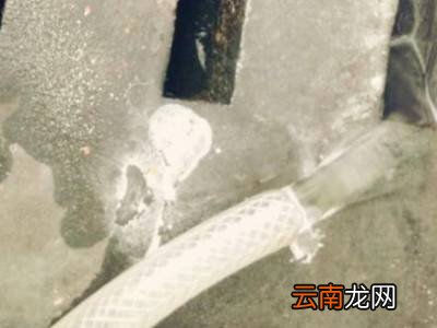 一根水管怎么抽水