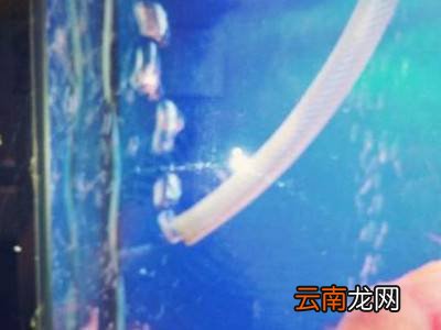 一根水管怎么抽水