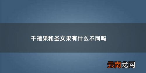 千禧果和圣女果有什么不同吗
