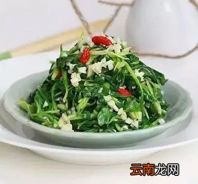 野菜菜谱做法大全 8种地道野菜吃法介绍