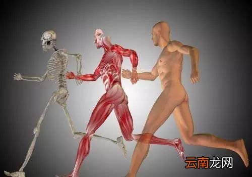 长期步行有什么好处 走路是最好的长寿药