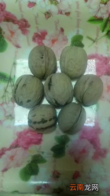 核桃蜂蜜止咳做法 核桃和它炒竟有止咳奇效