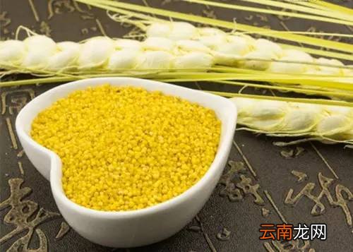 小米营养价值及饮食禁忌 小米切勿与这些同食