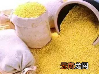 小米营养价值及饮食禁忌 小米切勿与这些同食