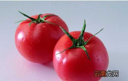 柿子和番茄能同时吃吗