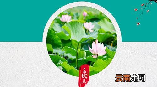 三伏天过后还热吗,三伏天过后是什么节气
