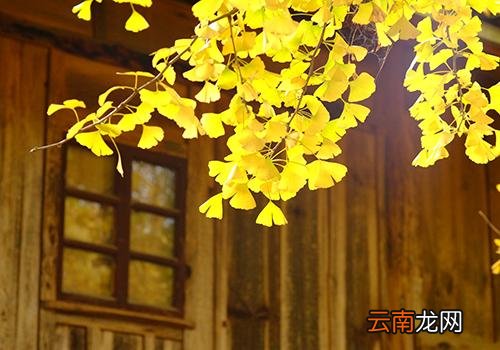 立秋后天气还热吗,立秋后还要热多久
