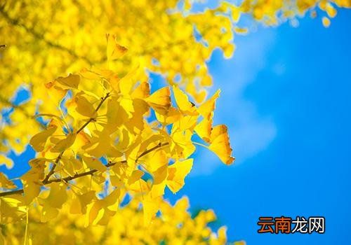 立秋后天气还热吗,立秋后还要热多久