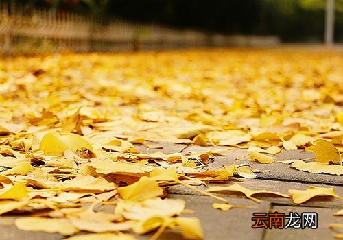 立秋后天气还热吗,立秋后还要热多久