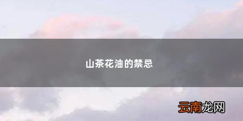 茶油长期吃有危害 山茶花油的禁忌
