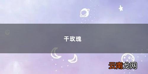 干玫瑰花可以用来干什么呢 干玫瑰