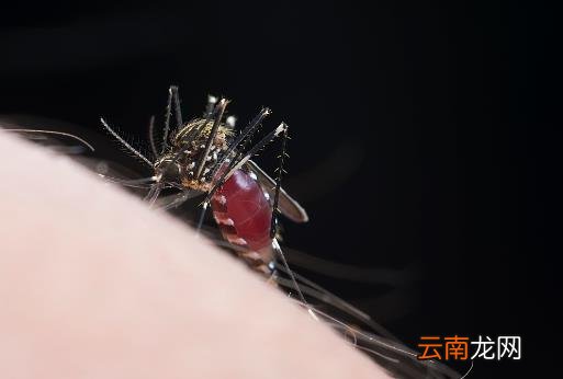 春季易引发的皮肤病 几种方法助你轻松应对