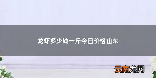 小龙虾一百块钱十斤平均每斤多少钱一条 龙虾多少钱一斤今日价格山东