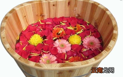 泡脚健康身体 泡脚加这些材料会有特殊的养生效果