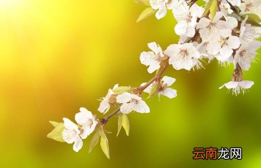 春季养生谨记一少二多三捂四宜少生病更健康