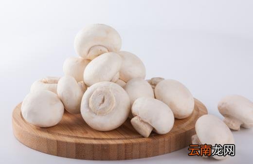绵绵细雨 春季祛湿常吃这些食物