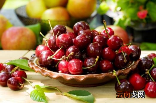 春季养生饮食 这7种食物最适合春季