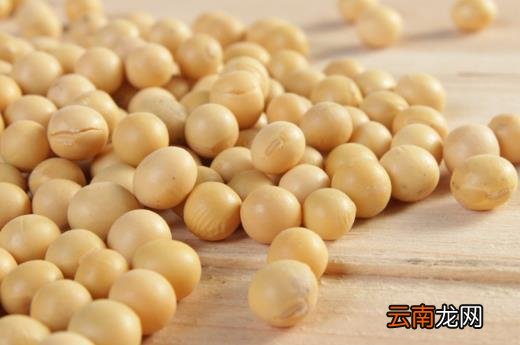 惊蛰养生必吃的十种食物推荐