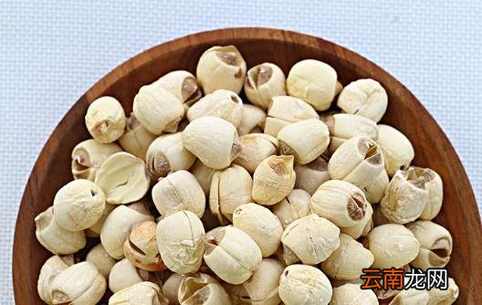 莲子一把 令你大脑灵活降压安神简单又有效