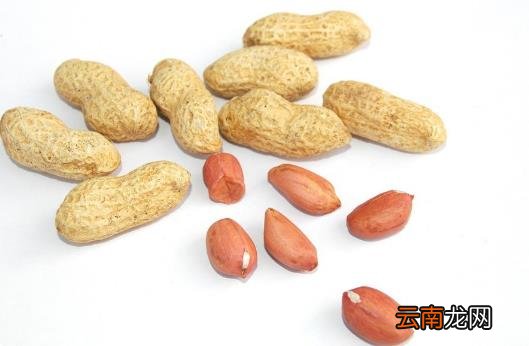肠胃要刮油 这七种食物得吃