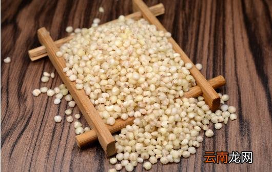 春季排毒必吃食物 调理脾胃虚
