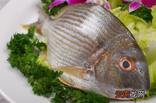 春季排毒必吃食物 调理脾胃虚